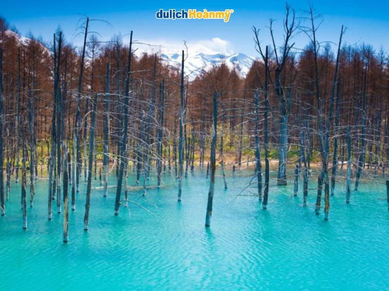Hồ-nước-xanh-Aoi-Pond
