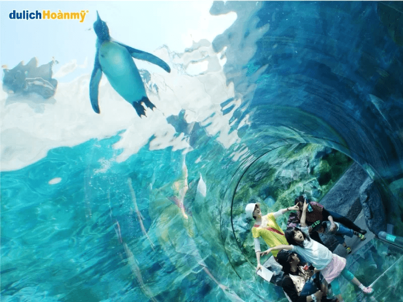 asahiyama-zoo
