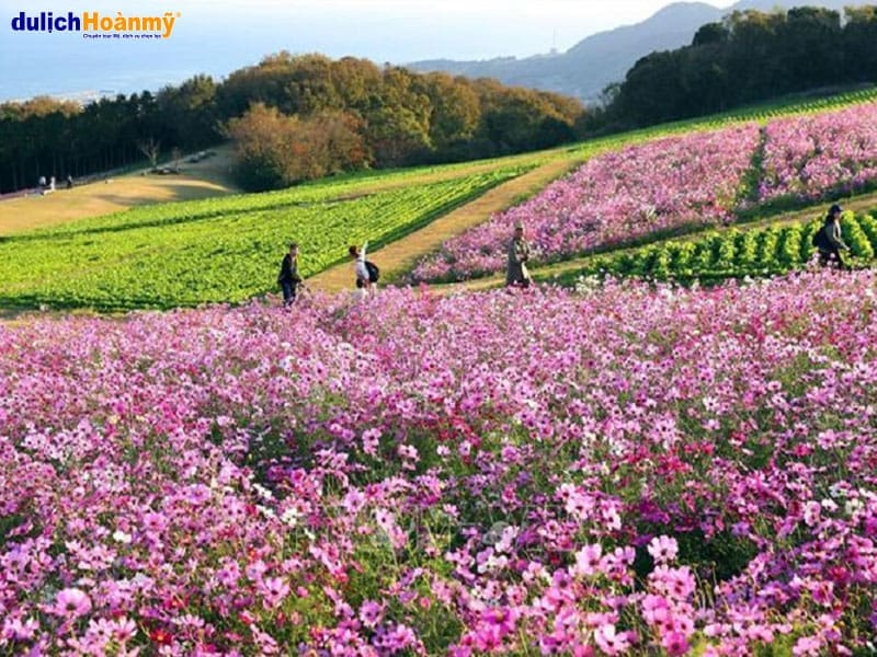 cong-vien-hoa-awaji (1)