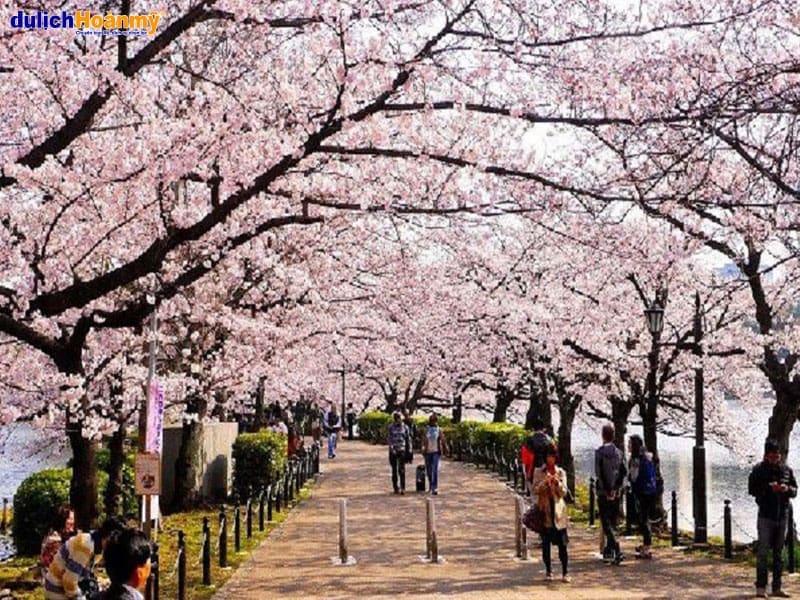 cong-vien-ueno