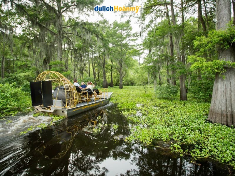 đầm-lầy--Atchafalaya