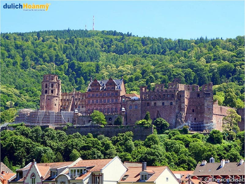 lau-dai-heidelberg-tour-4n