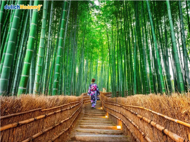 rung-tre-arashiyama (1)
