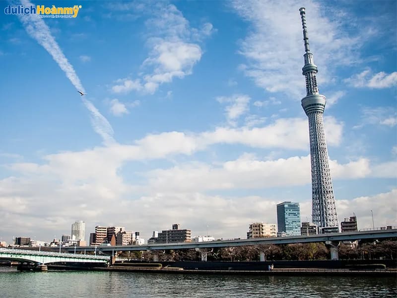 thap-tokyo-tree (1)