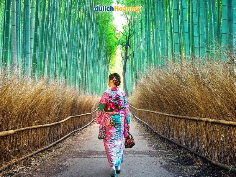 Rừng-tre-Arashiyama