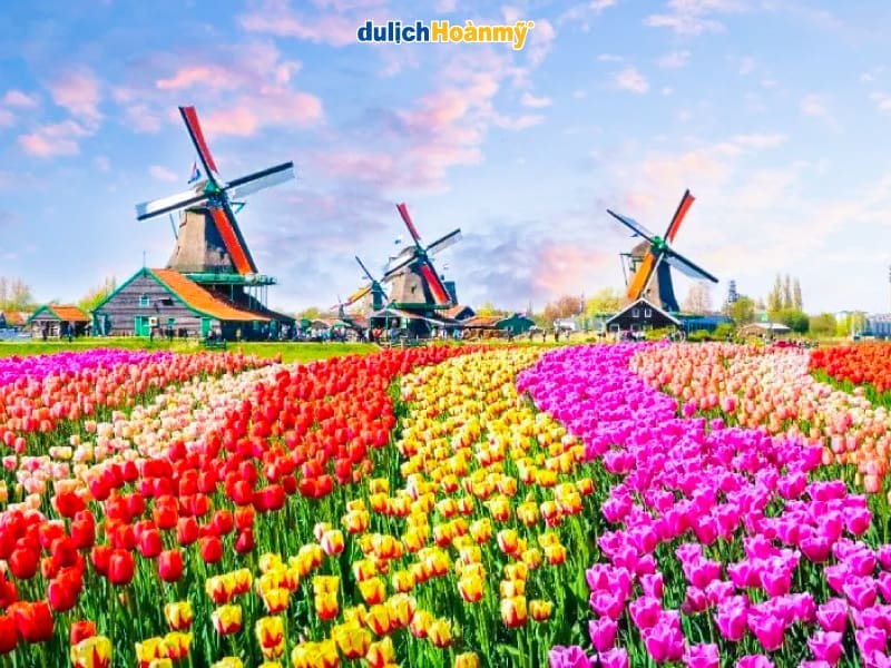 Vườn-hoa-Keukenhof-với-Lễ-hội-hoa-lớn-nhất-thế-giới
