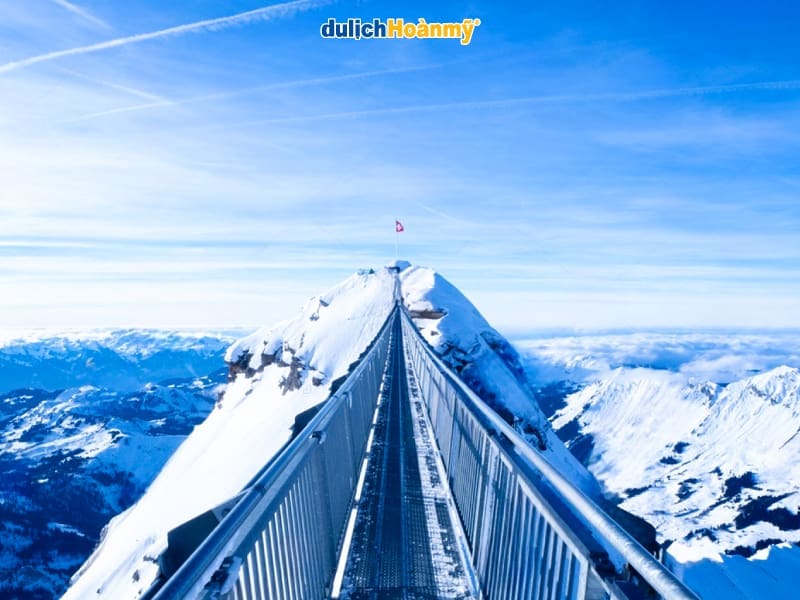 cầu-treo-đầu-tiên-trên-thế-giới-Peak-Wal